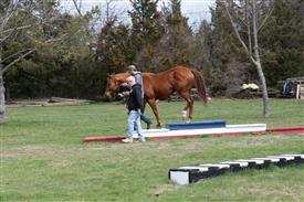 LR-WRF 0402026 Retreat-3500